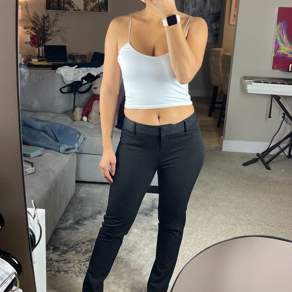 Express Columnist Pants